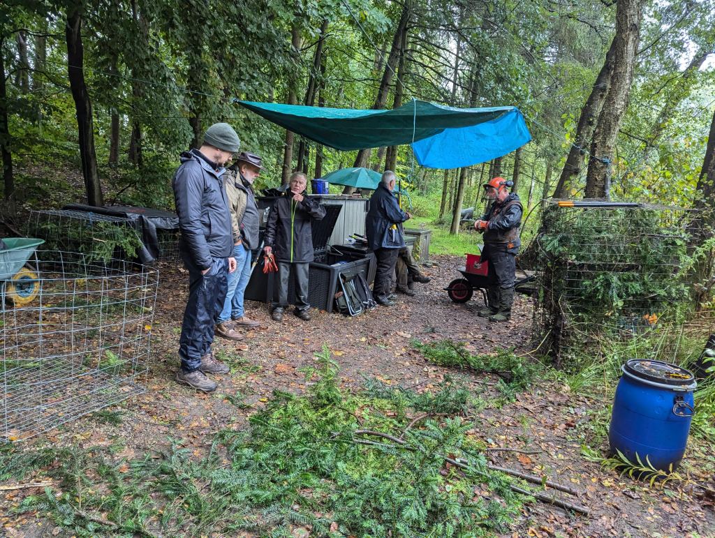 Work Parties and Fish&nbsp;Refuges